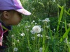 DSC02445