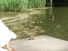 DSC02519