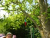 DSC04953