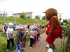 DSC07300