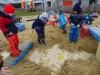 DSC05654