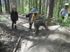Wald