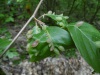 P1120223